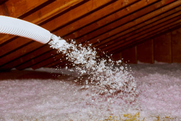 Best Eco-Friendly Insulation in Randolph Af, TX