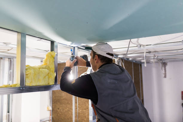 Best DIY Insulation Kits and Guidance in Randolph Af, TX