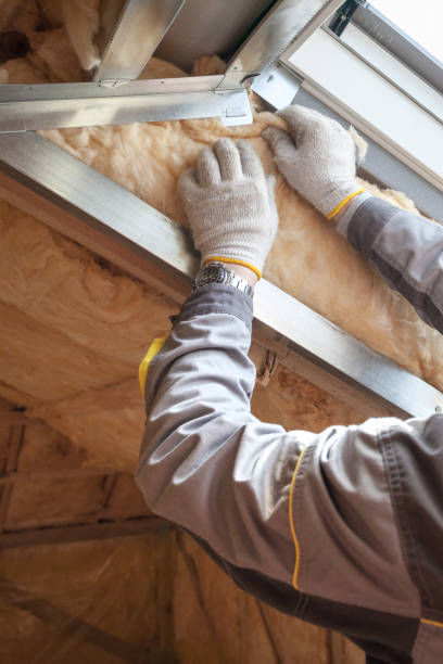 Types of Insulation We Offer in Randolph Af, TX