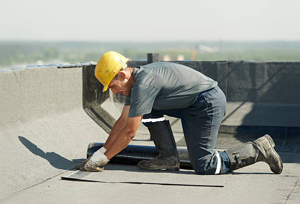 Best Geographic-Specific Insulation Services in Randolph Af, TX