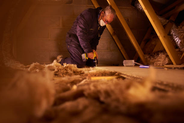 Professional Insulation Contractor in Randolph Af, TX